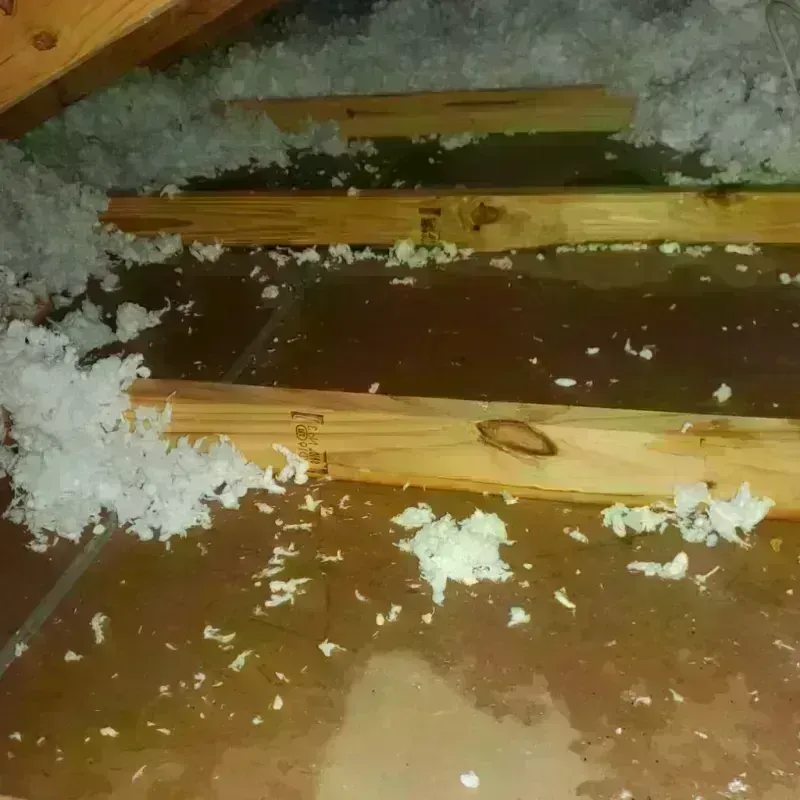 Attic Water Damage in Commercial Point, OH